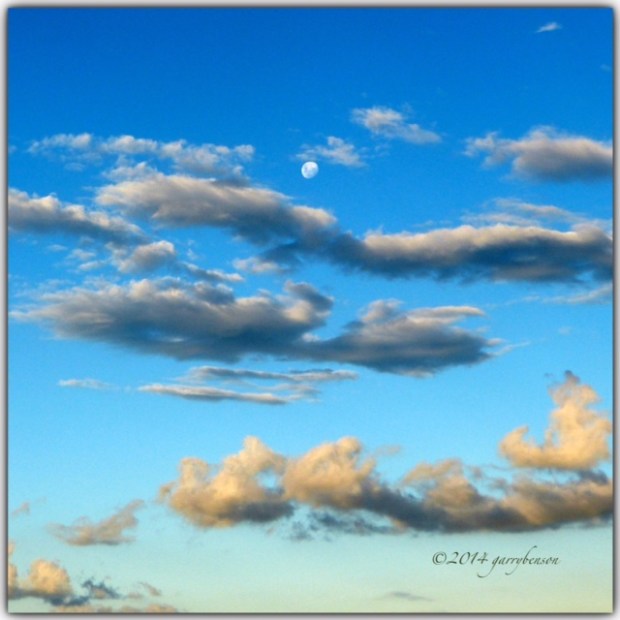 © Garry Benson 2014