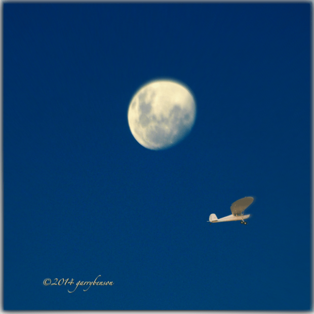 © Garry Benson 2014