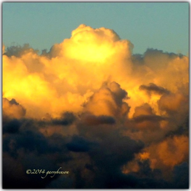 © Garry Benson 2014