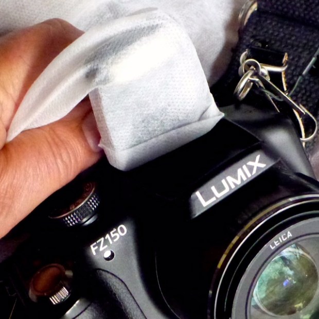 © Garry Benson 2014