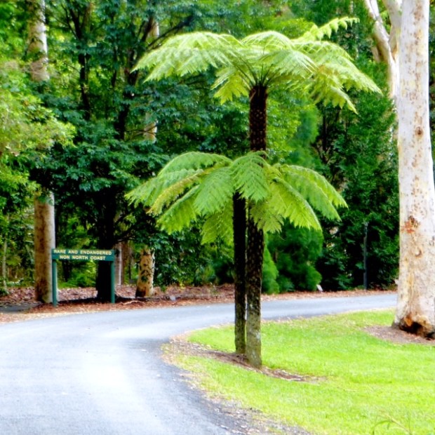 © Garry Benson 2014