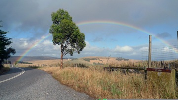 © Garry Benson 2014