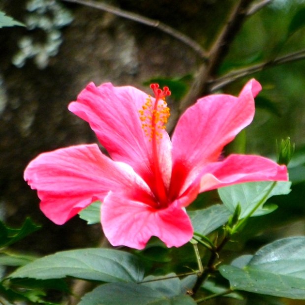 © Garry Benson 2014