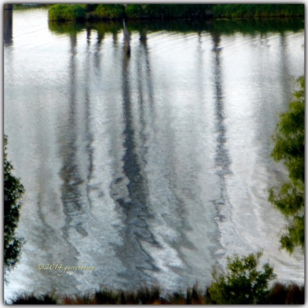 © Garry Benson 2014