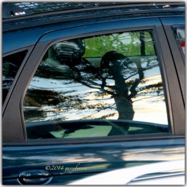 © Garry Benson 2014