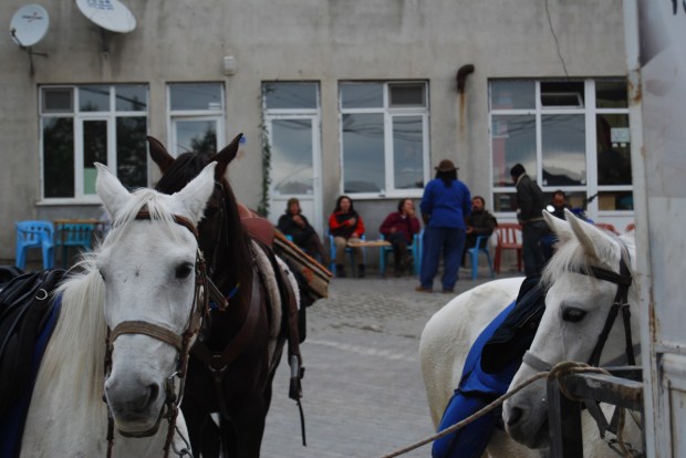 Tea-time in Kestel, while Ilos, Anadolu, Sarhoş turn their backs, 2009.