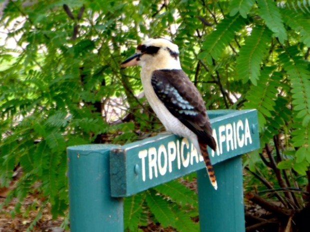 © Garry Benson 2014