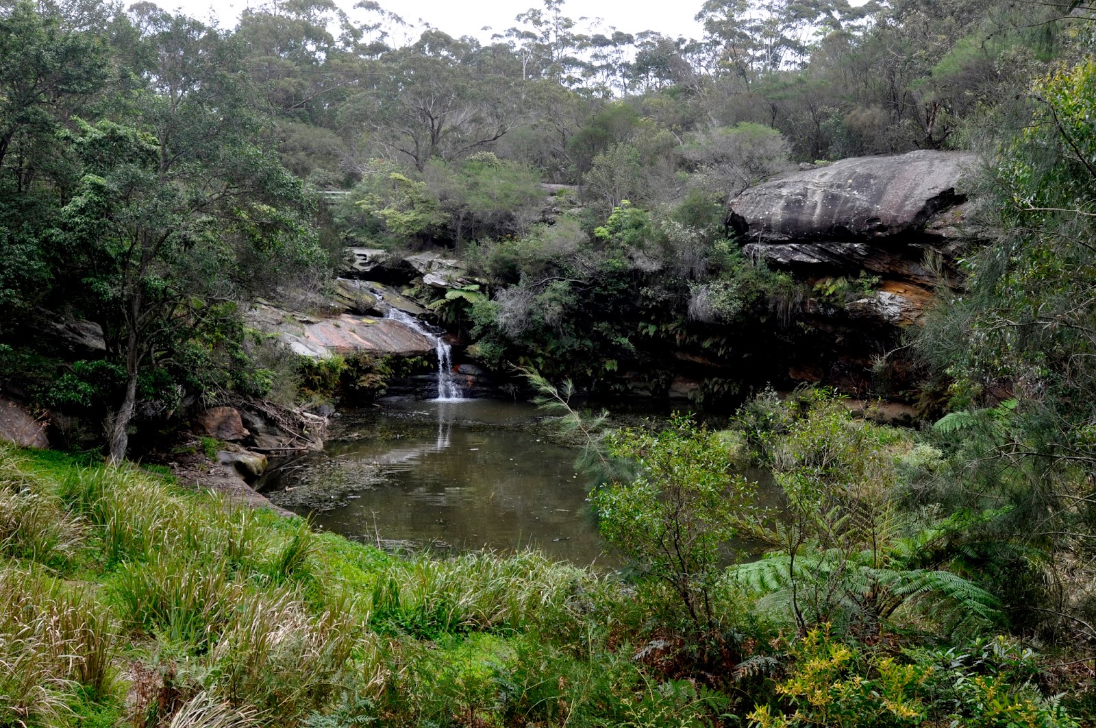 Image credit: http://thegreenmanly.blogspot.com.au/2014/03/a-vision-splendid-for-manly-creek.html